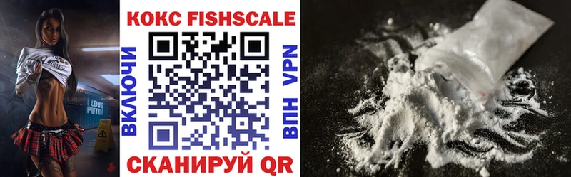 Cocaine Fish Scale  кракен как войти  Белорецк 